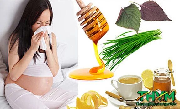 Bài thuốc dân gian chữa ho