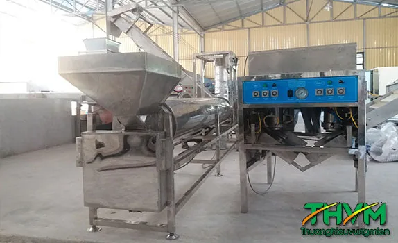 M&aacute;y sấy h&agrave;nh tỏi