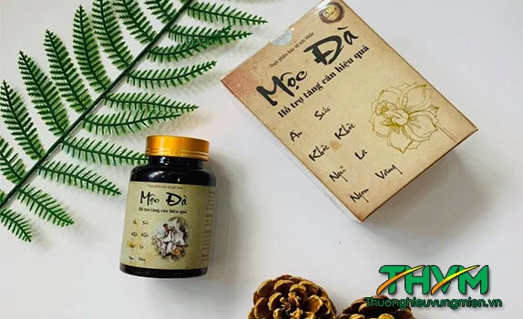 Thảo Mộc Tăng Cân Mộc Đà Tăng cân Mộc Đà