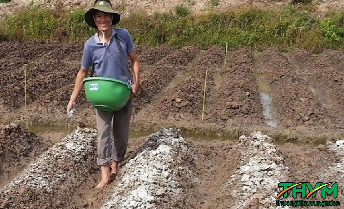 biện pháp cải tạo đất chua đất phèn