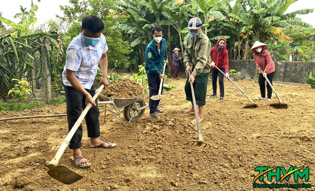vì sao phải cải tạo vườn tạp