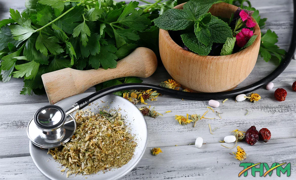 cây thuốc chữa bệnh rối loạn thần kinh thực vật