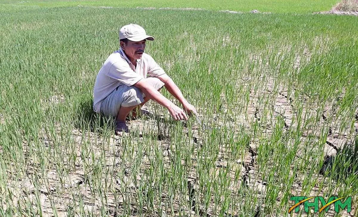 biếnđổi khí hậu đe dọa ngành sản xuất nông nghiệp
