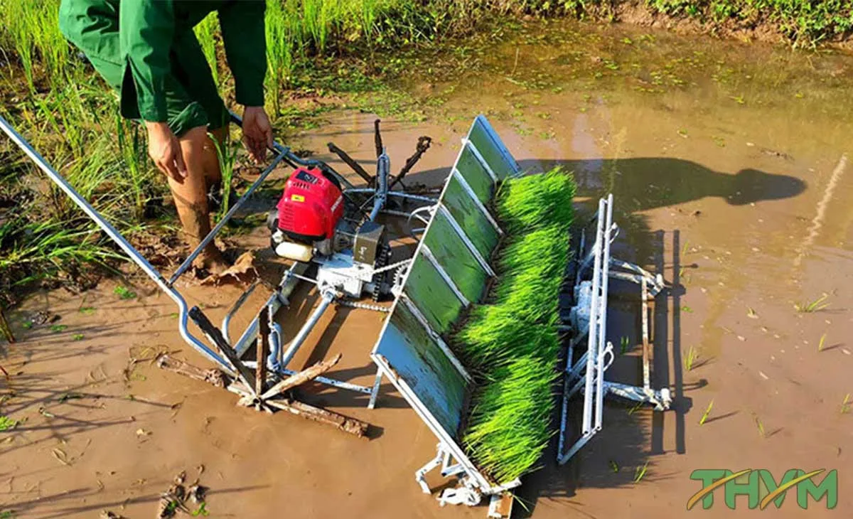 ngành nông nghiệp nước ta hiện nay