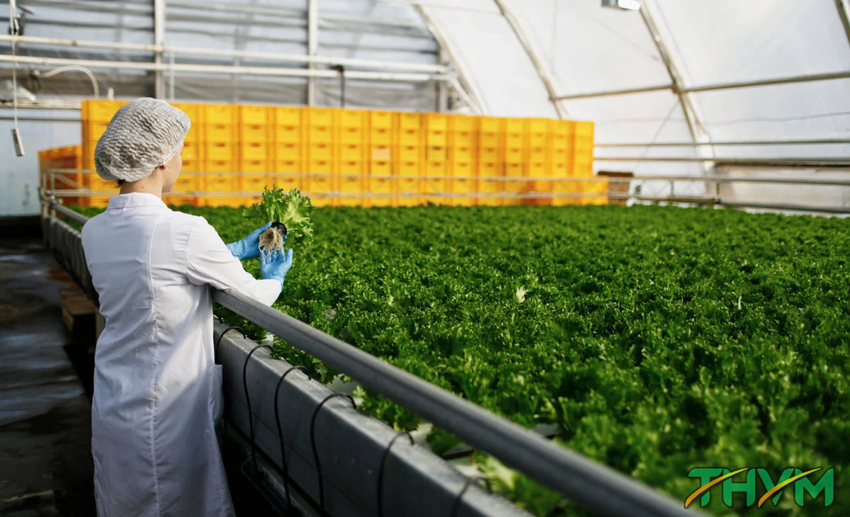 &aacute;p dụng c&ocirc;ng nghệ cao trong sản xuất