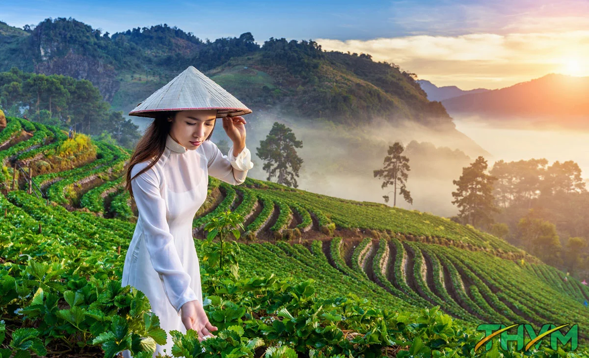 du lịch n&ocirc;ng nghiệp